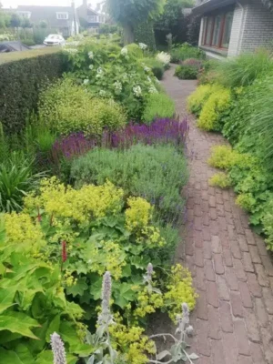 tuinonderhoud in Prinsenbeek