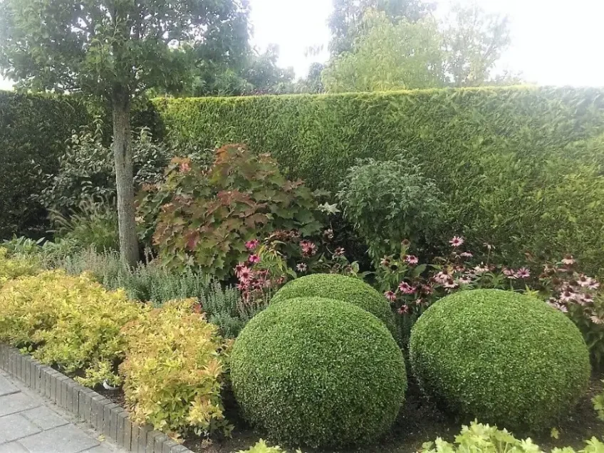 Tuinonderhoud Fijnaart - Hoveniersbedrijf M. van Oorschot