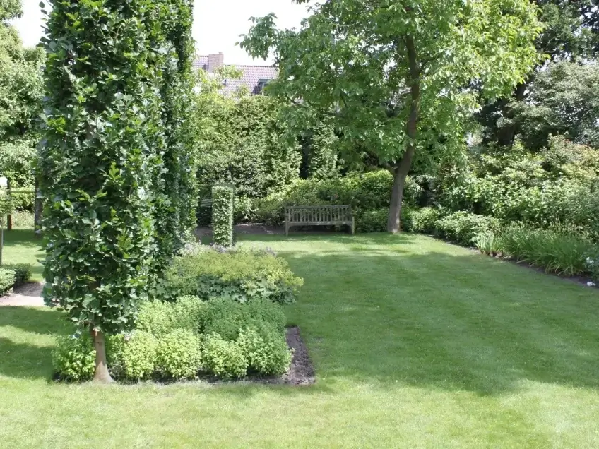 Tuinonderhoud regio Zegge - Hoveniersbedrijf M. van Oorschot