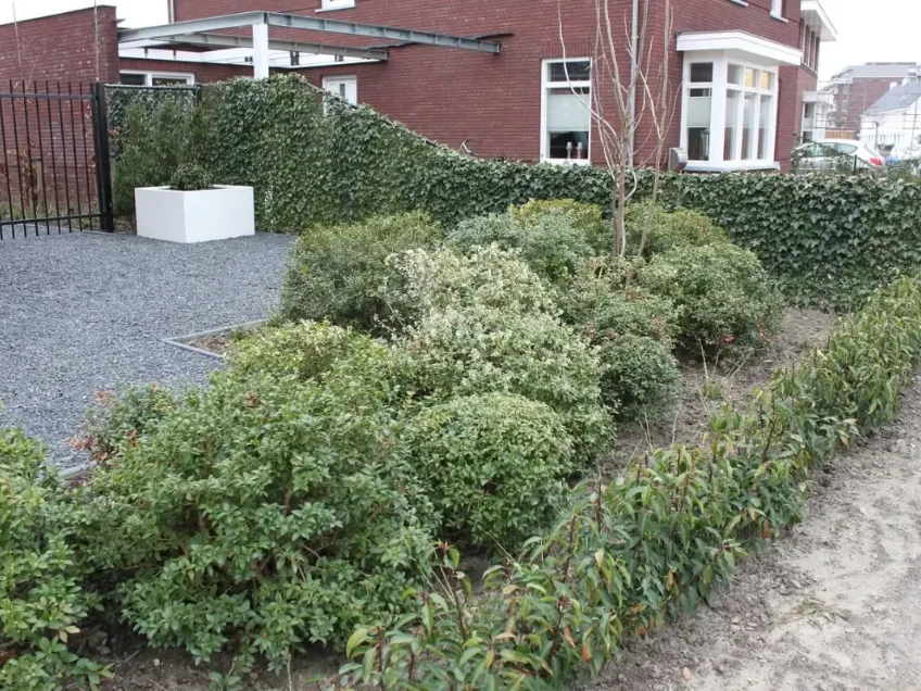 Tuinaanleg regio Langeweg - Hovenier M. van Oorschot