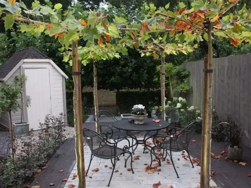 Tuinaanleg regio Schijf - Hovenier M. van Oorschot