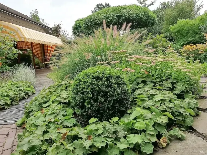 Tuinonderhoud Galder - Hoveniersbedrijf M. van Oorschot