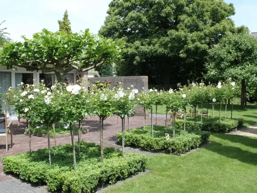Tuinonderhoud Moerstraten - Hoveniersbedrijf M. van Oorschot
