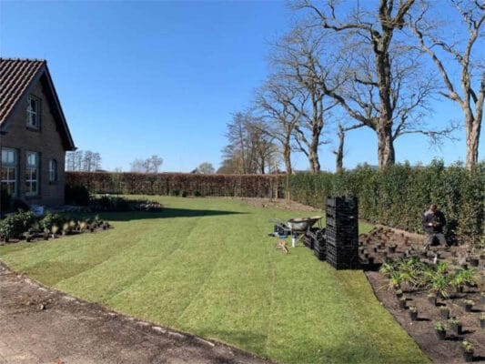 Tuinaanleg grote voortuin Achtmaal